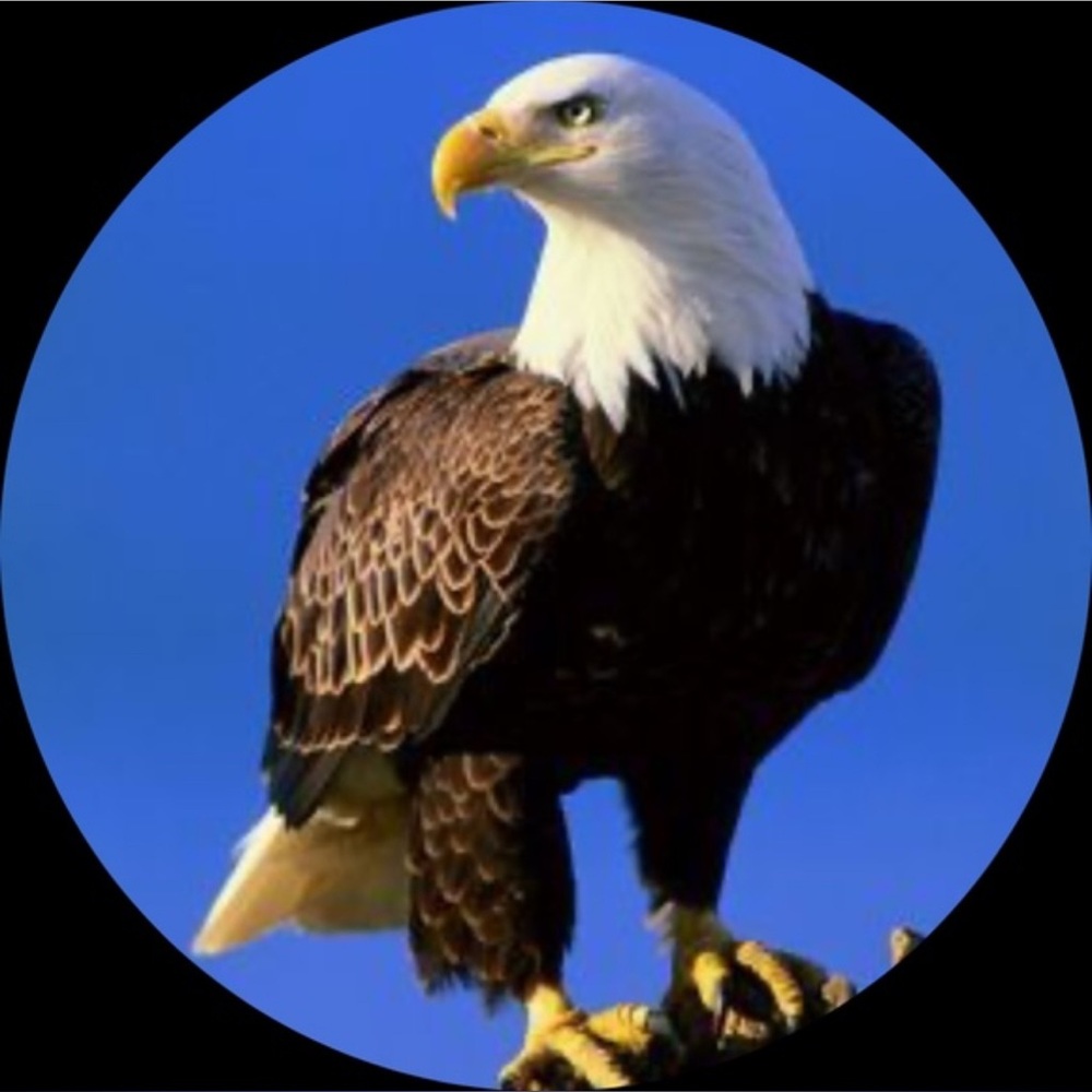 🦅 TheEaglesNest4